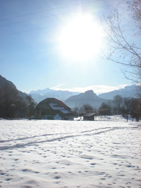 Les Paddocks Du Mont Blanc Hotel Mieussy Kültér fotó